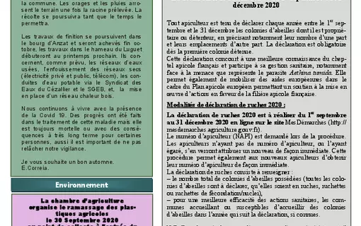 Bulletins municipaux 2020